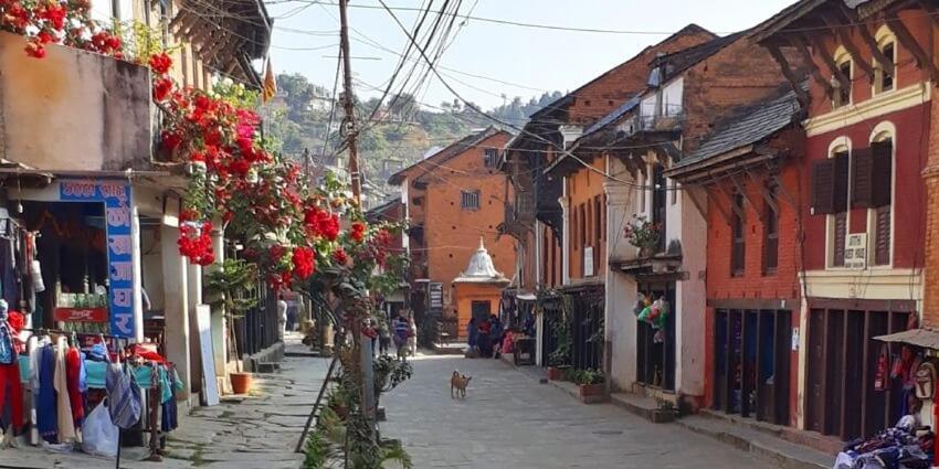 Unique Hotel And Lodge - Pleasure Of Homely Stay - Bandipur Esterno foto